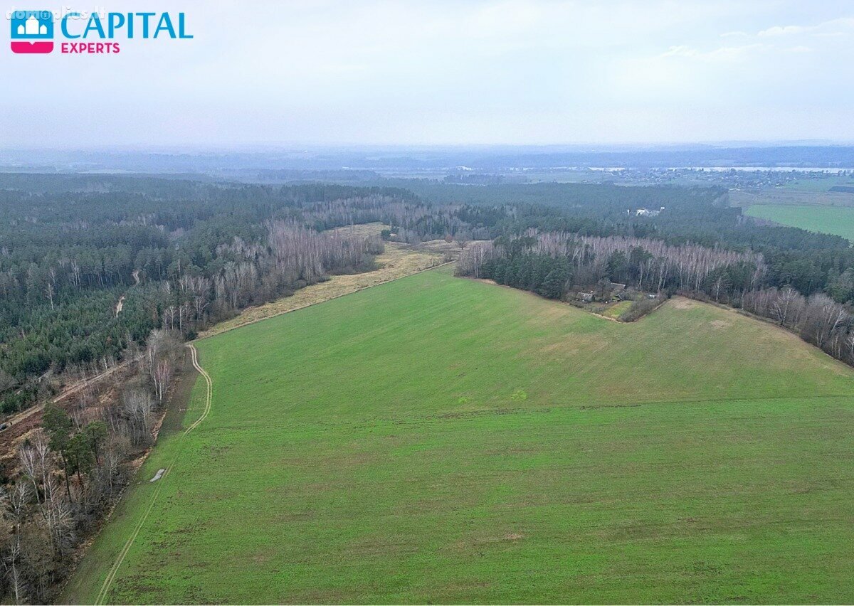 Parduodamas sklypas Kaišiadorių rajono sav., Darsūniškyje