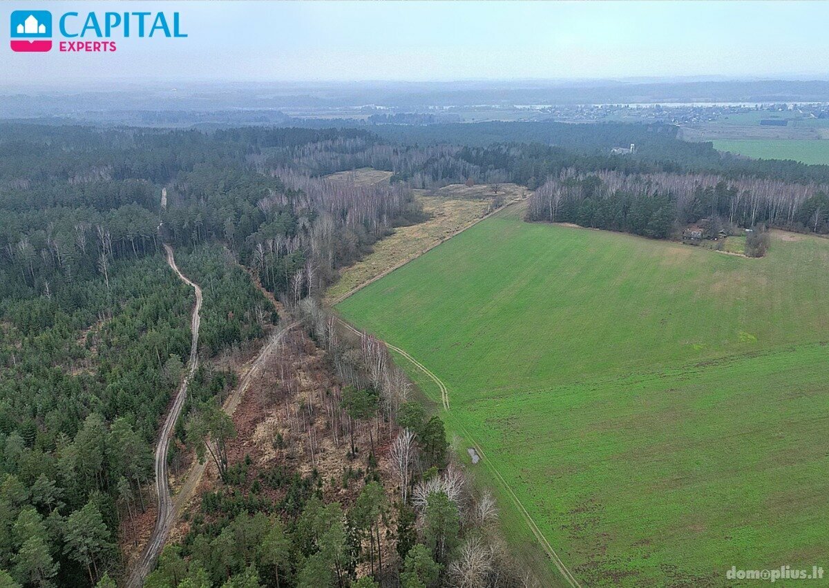 Parduodamas sklypas Kaišiadorių rajono sav., Darsūniškyje