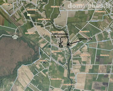 Parduodamas sklypas Klaipėdos rajono sav., Lankupiuose