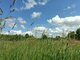 Parduodamas sklypas Klaipėdos rajono sav., Kuliuose (6 nuotrauka)
