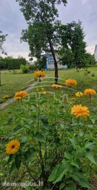 Участок Klaipėdos rajono sav., Šiūpariuose