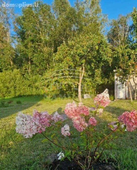Участок Klaipėdos rajono sav., Šiūpariuose