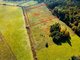 Parduodamas sklypas Jonavos rajono sav., Dirvaliuose (1 nuotrauka)