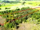Parduodamas sklypas Lazdijų rajono sav., Šadžiūnuose (4 nuotrauka)