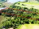 Parduodamas sklypas Lazdijų rajono sav., Šadžiūnuose (6 nuotrauka)
