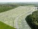 Land for sale Klaipėdos rajono sav., Jakuose, Vasarojaus g. (5 picture)