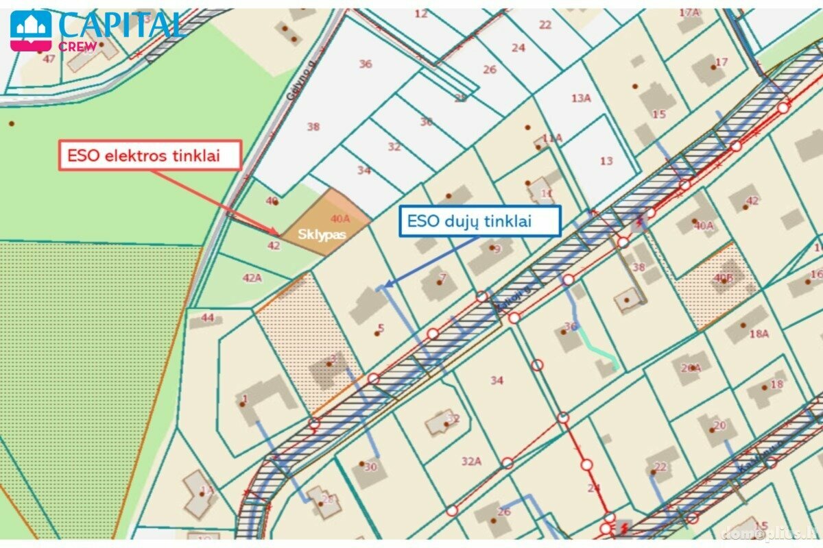 Land for sale Vilniaus rajono sav., Didžioji Riešė