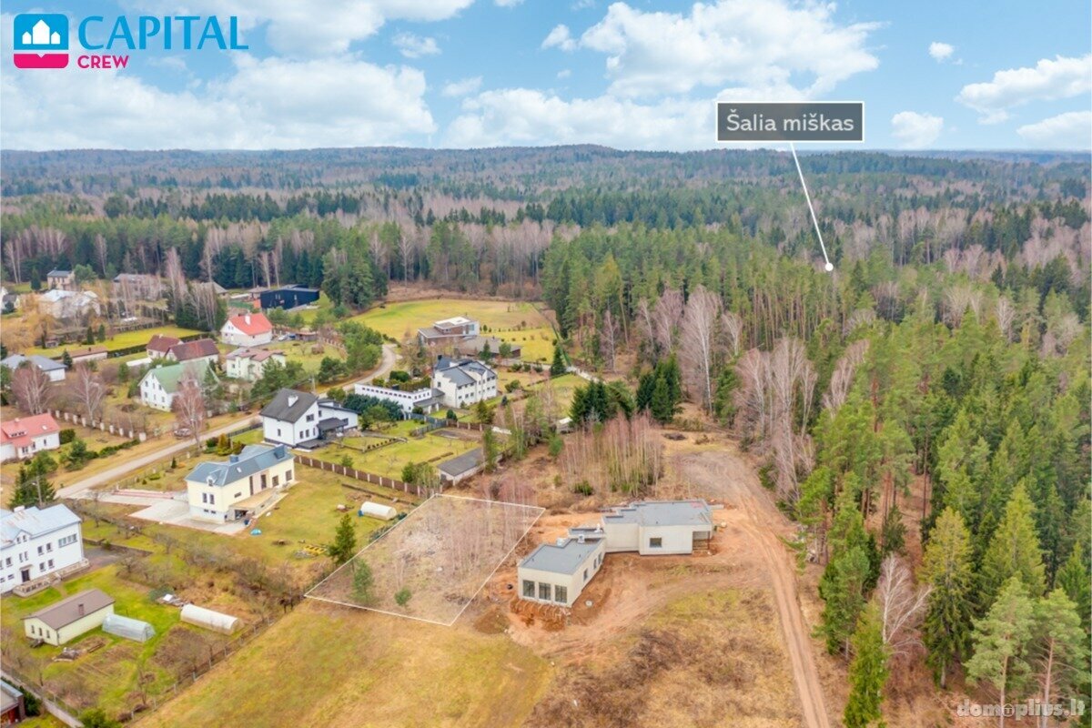 Land for sale Vilniaus rajono sav., Didžioji Riešė