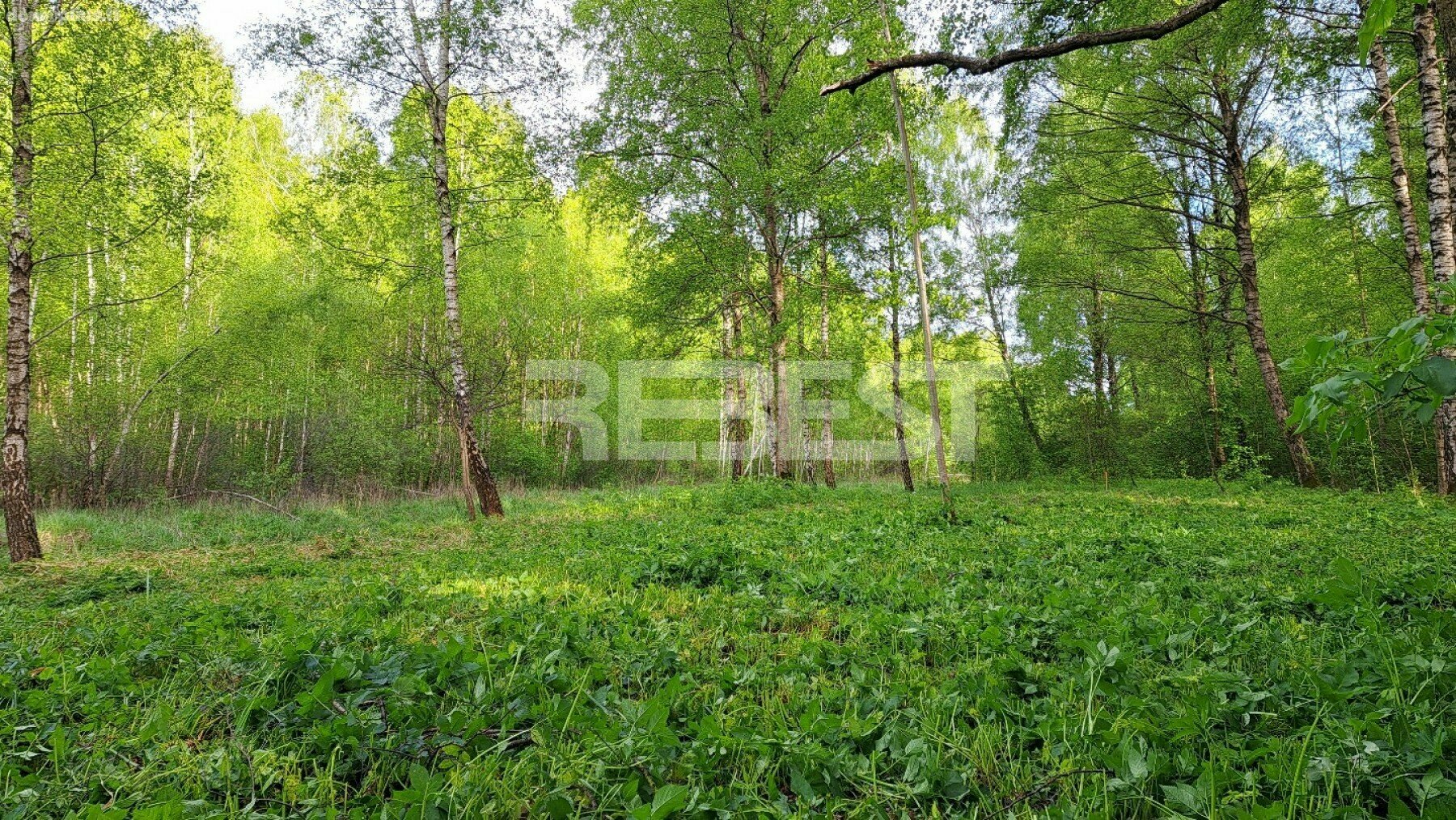 Участок Šiauliuose, Pabaliuose, Etten-Leuro g.