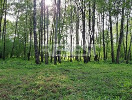 Участок Šiauliuose, Pabaliuose, Etten-Leuro g.
