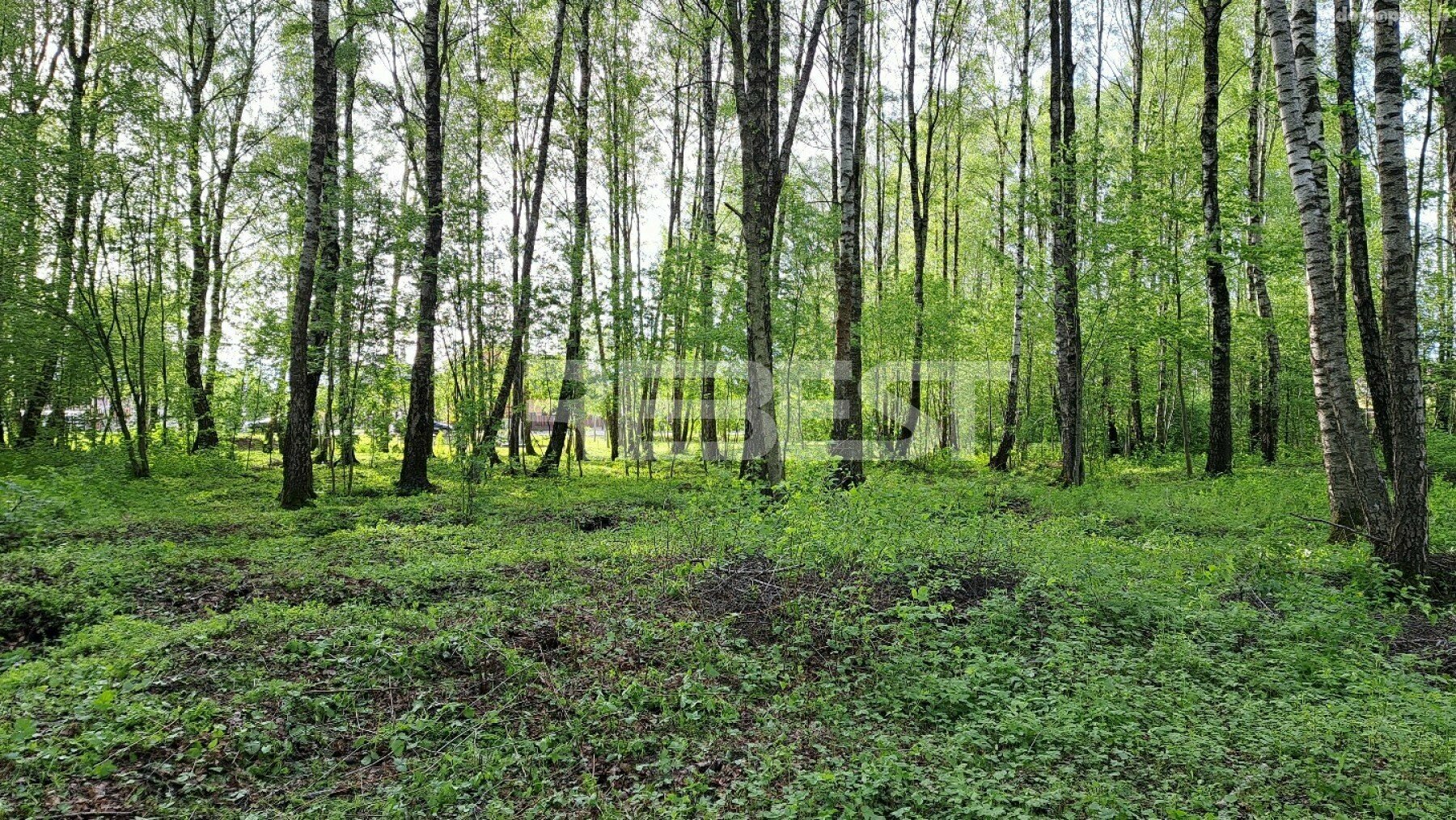 Участок Šiauliuose, Pabaliuose, Etten-Leuro g.