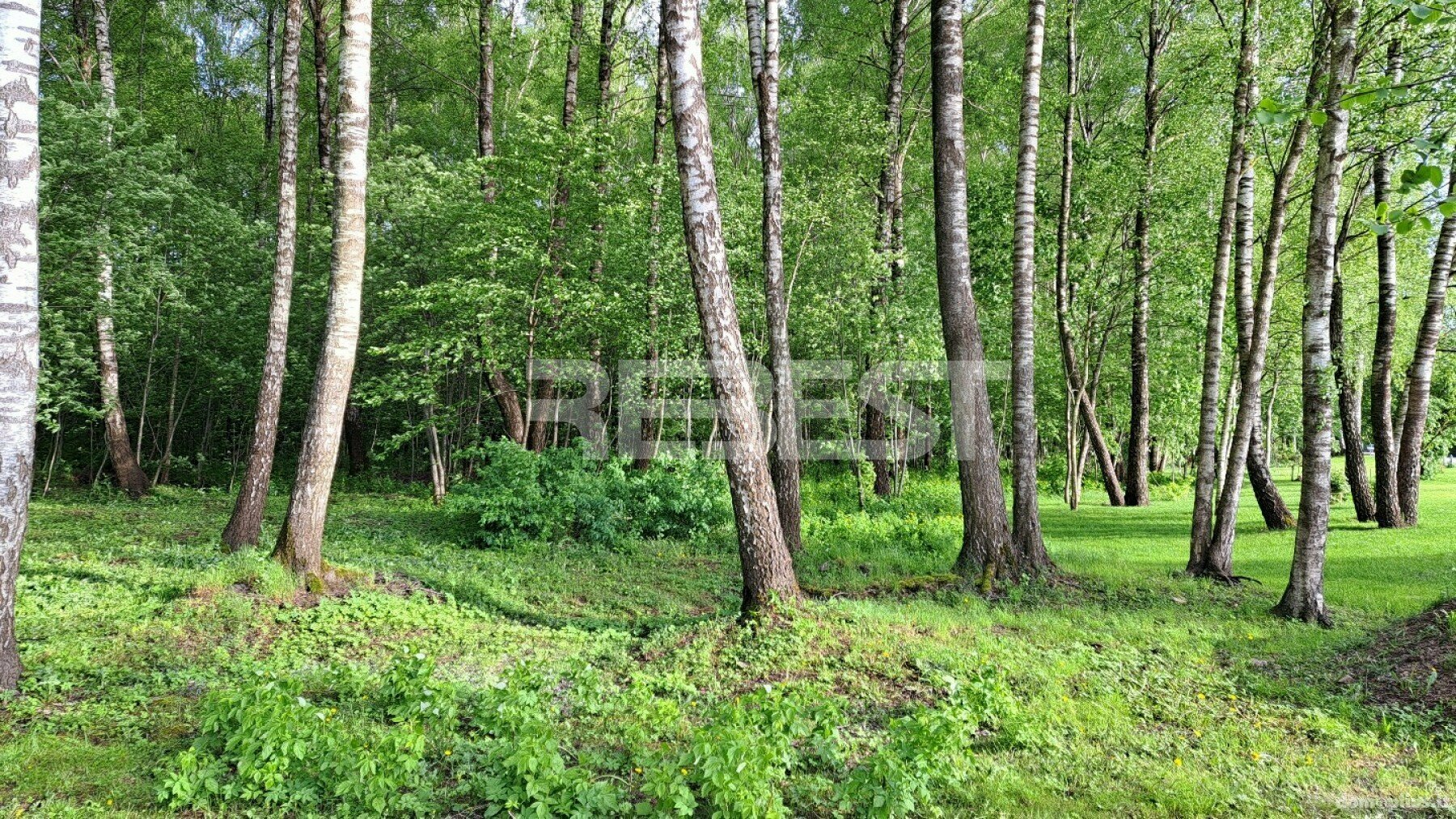 Участок Šiauliuose, Pabaliuose, Etten-Leuro g.