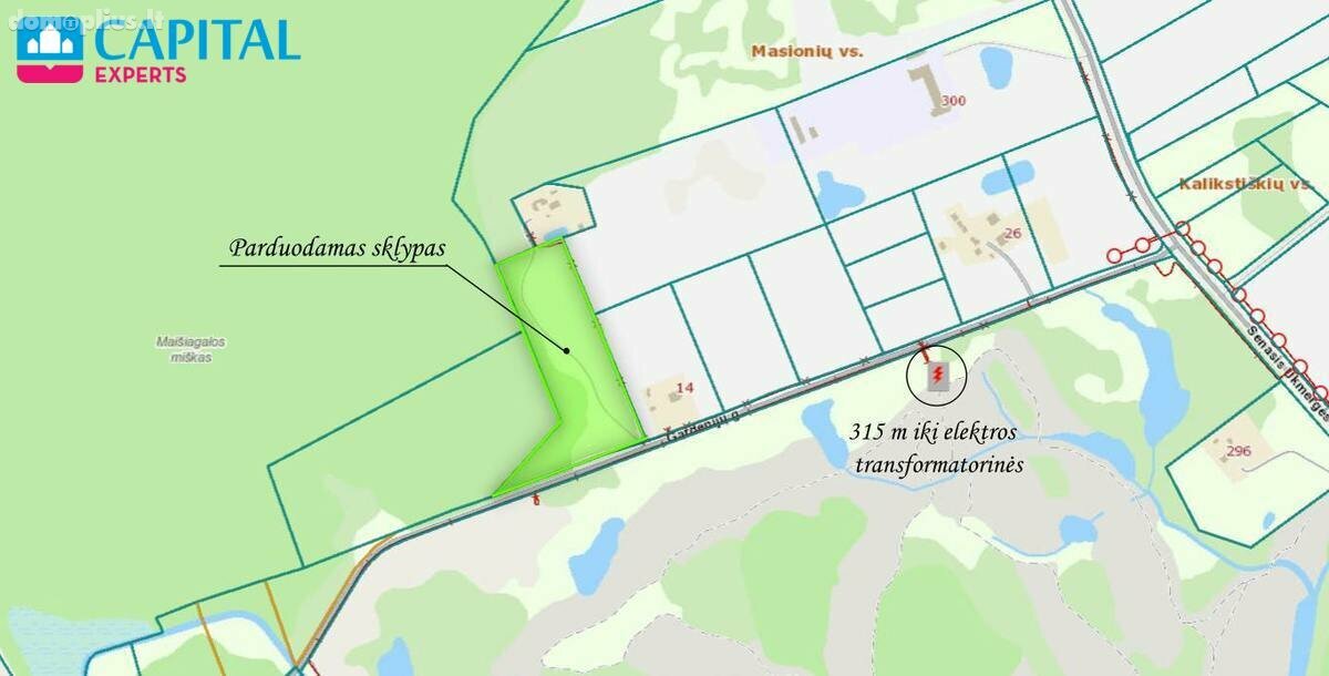 Land for sale Vilniaus rajono sav., Masionyse