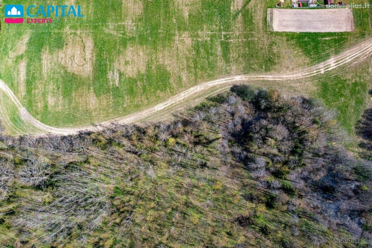 Land for sale Vilniaus rajono sav., Masionyse