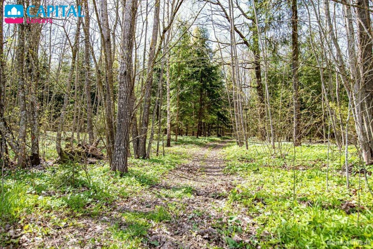 Land for sale Vilniaus rajono sav., Masionyse