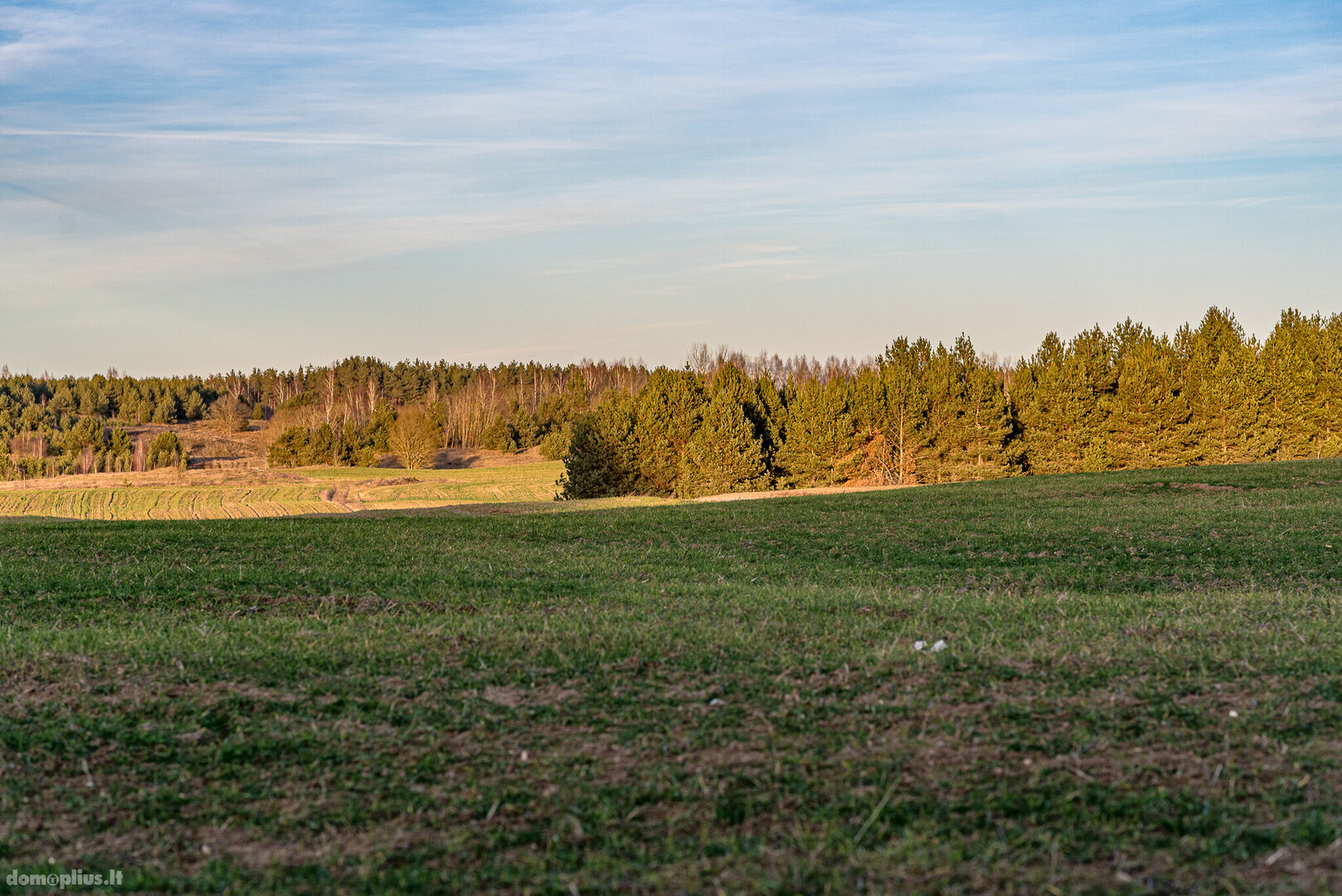 Parduodamas sklypas Trakų rajono sav., Užilgiuose