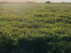 Parduodamas sklypas Ukmergės rajono sav., Klišiuose (6 nuotrauka)