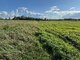 Parduodamas sklypas Ukmergės rajono sav., Klišiuose (9 nuotrauka)