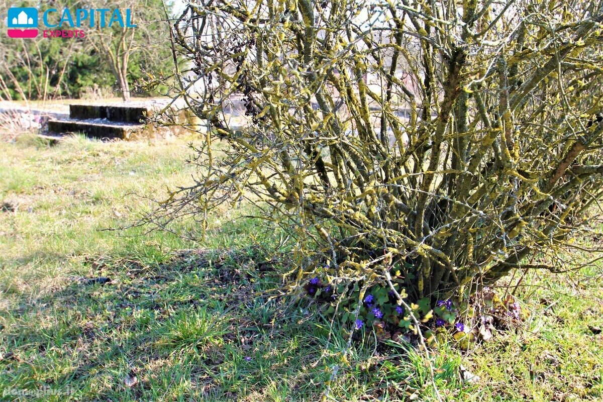 Участок Anykščių rajono sav., Svirnai II