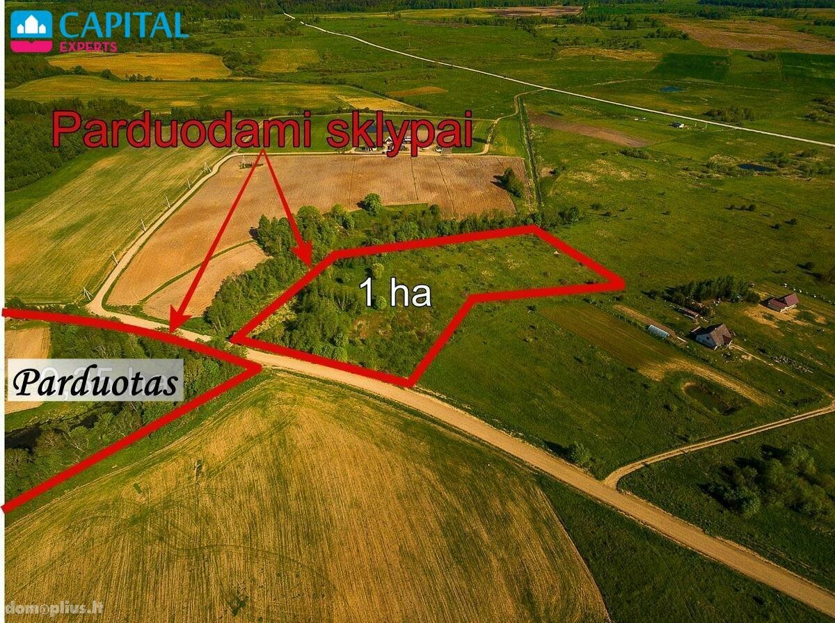 Parduodamas sklypas Vilniaus rajono sav., Kiemeliuose