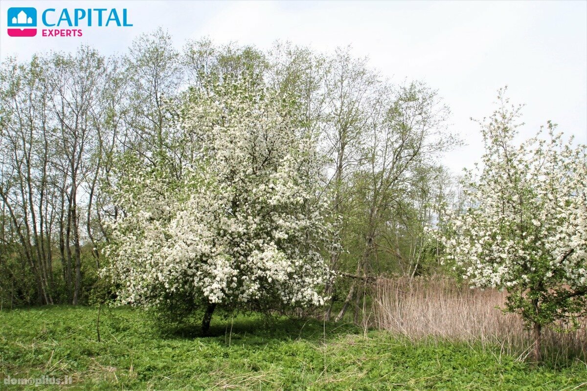 Parduodamas sklypas Vilniaus rajono sav., Kiemeliuose