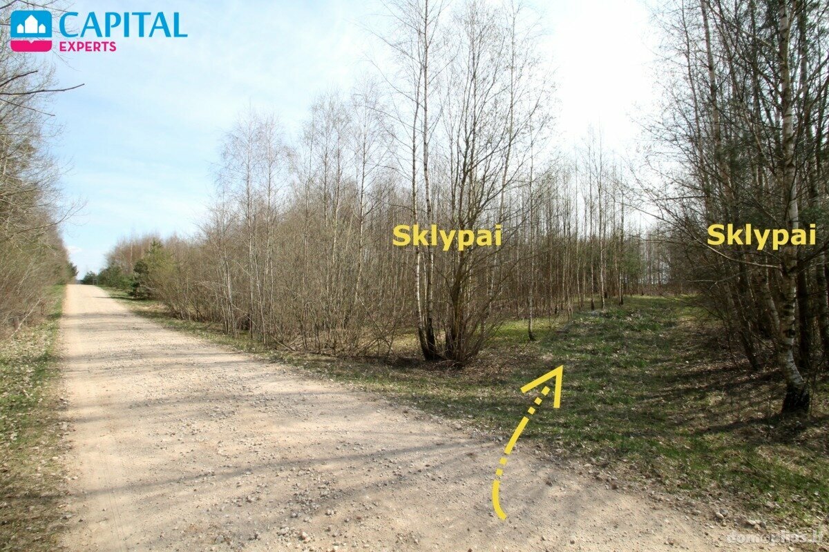 Участок Širvintų rajono sav., Jauniūnuose