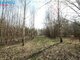 Parduodamas sklypas Širvintų rajono sav., Jauniūnuose (13 nuotrauka)