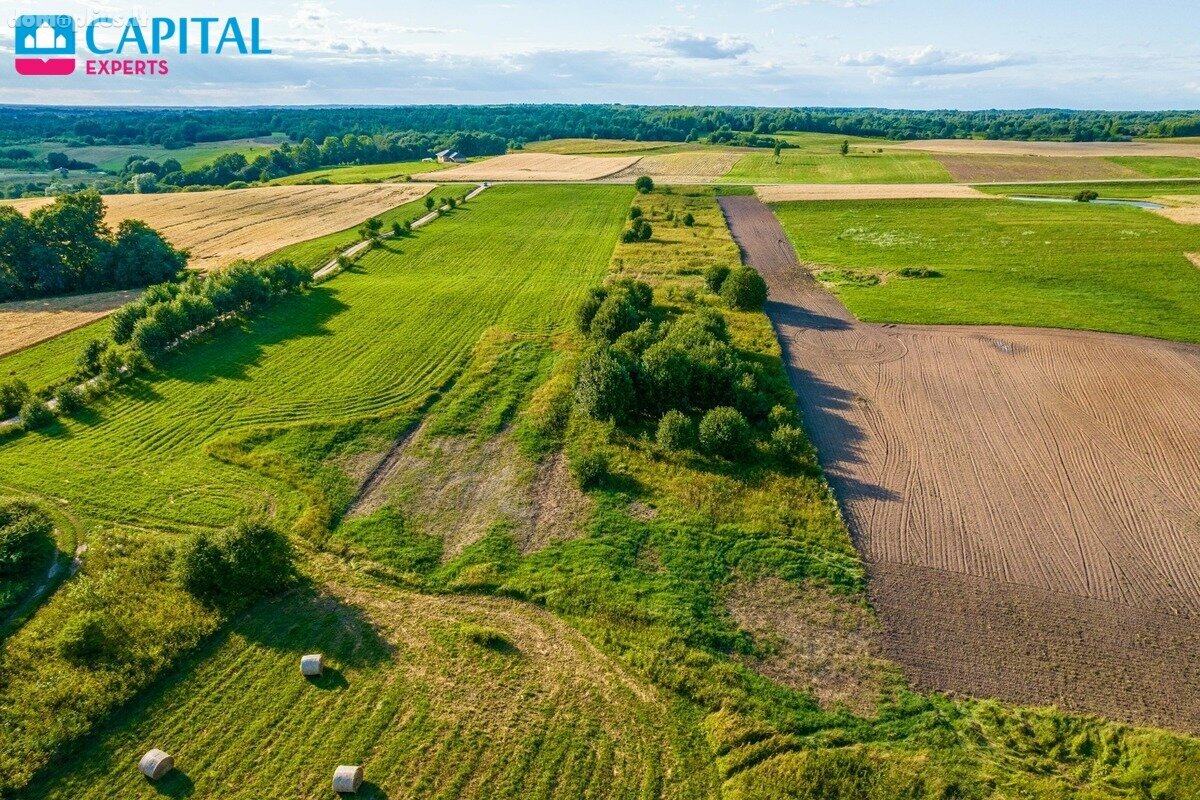 Parduodamas sklypas Molėtų rajono sav., Giedraičiuose