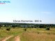Parduodamas sklypas Molėtų rajono sav., Giedraičiuose (13 nuotrauka)