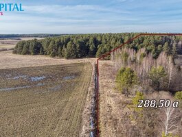 Sklypas Trakų rajono sav., Senasis Tarpupis