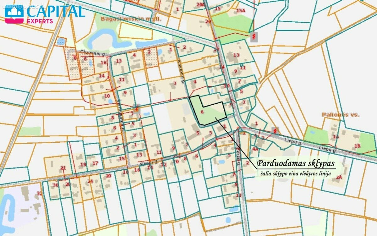 Parduodamas sklypas Širvintų rajono sav., Bagaslaviškyje