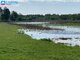 Parduodamas sklypas Širvintų rajono sav., Salos (9 nuotrauka)