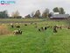Parduodamas sklypas Širvintų rajono sav., Salos (24 nuotrauka)