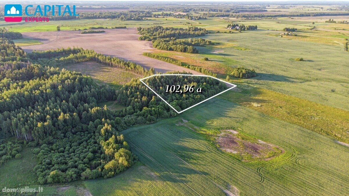 Parduodamas sklypas Širvintų rajono sav.