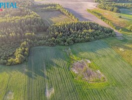 Parduodamas sklypas Širvintų rajono sav.