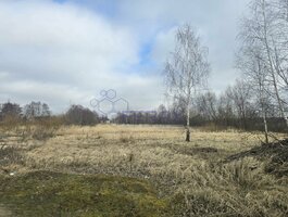 Land Šiaulių rajono sav., Raizgiuose, Žvejonės g.