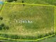 Land for sale Rokiškio rajono sav., Anapolyje (5 picture)