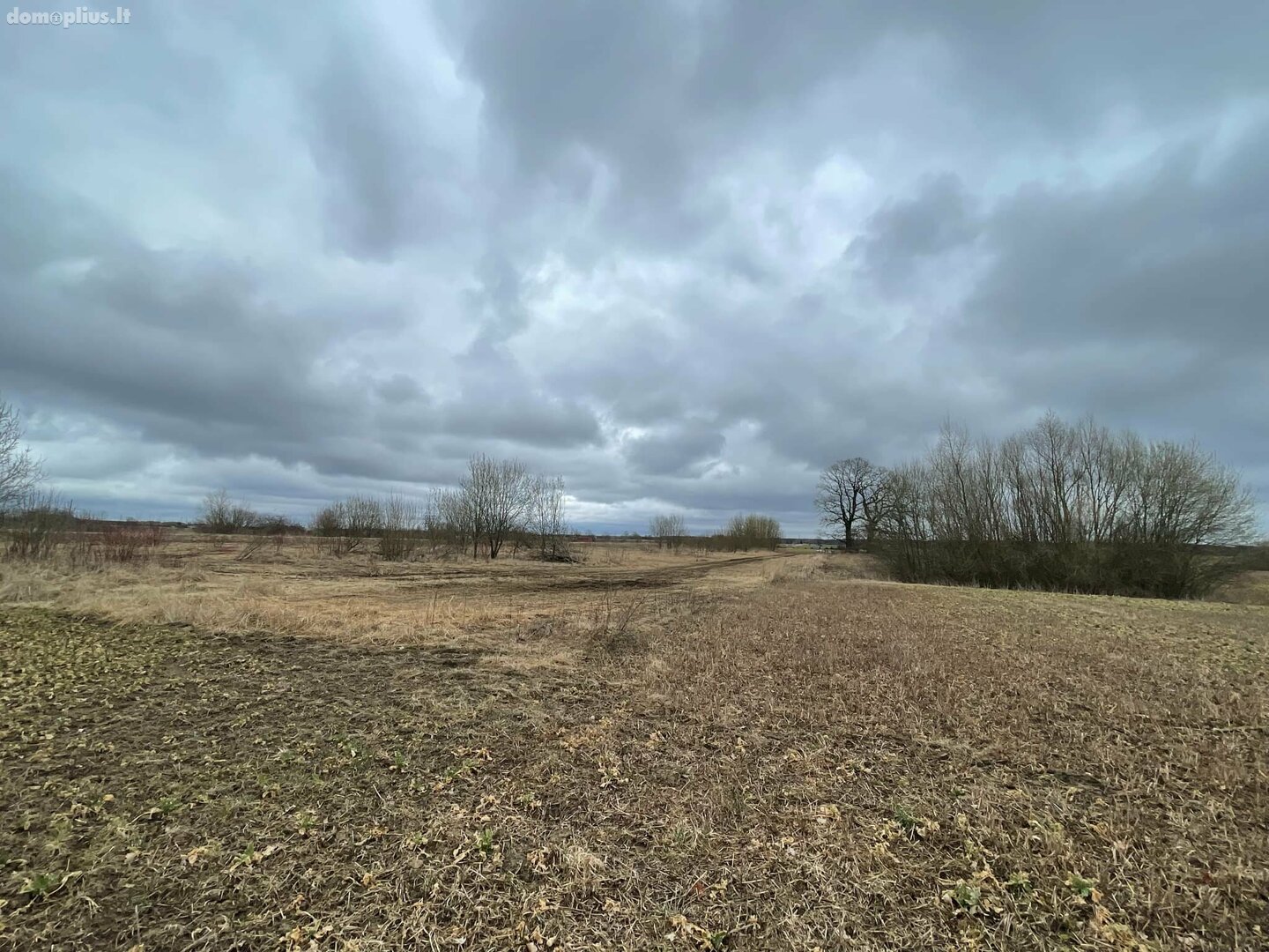 Land for sale Kauno rajono sav., Rokuose