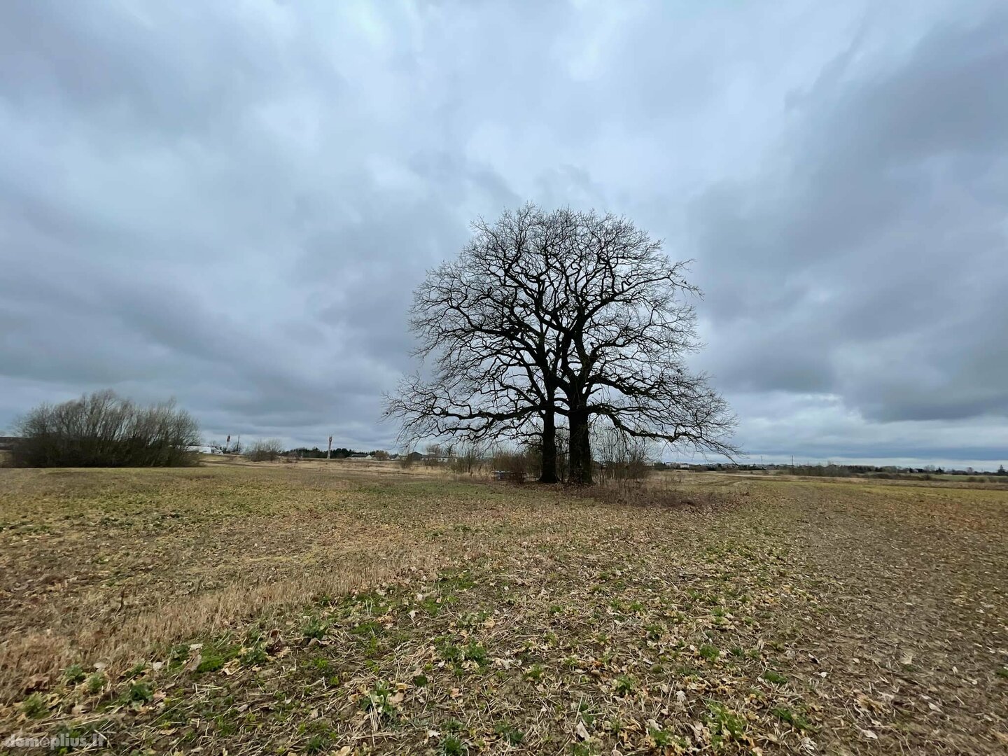 Land for sale Kauno rajono sav., Rokuose