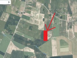 Parduodamas sklypas Kauno rajono sav., Margininkuose