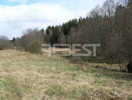 Parduodamas sklypas Šiaulių rajono sav., Dengtiltyje