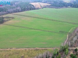 Parduodamas sklypas Kaišiadorių rajono sav., Darsūniškyje