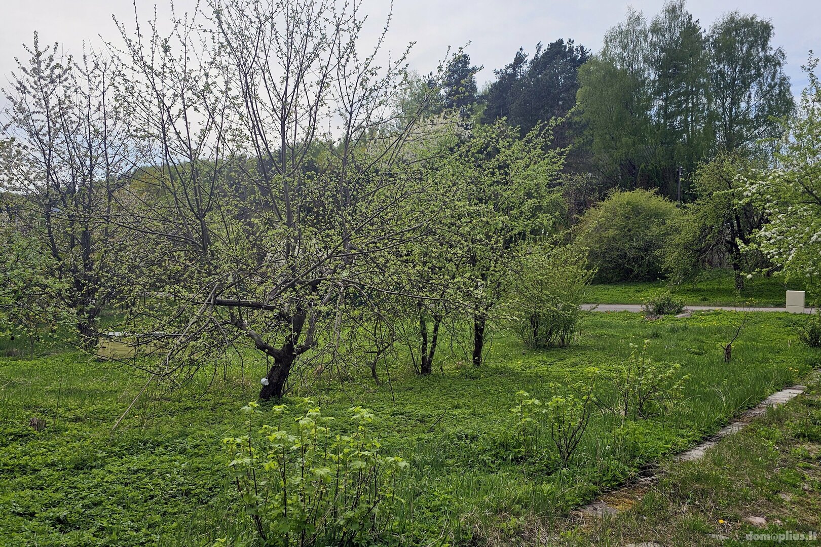Parduodamas sklypas Vilniuje, Antakalnyje, Pupojų Sodų 15-oji g.