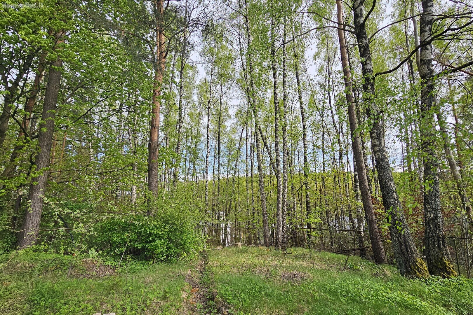 Parduodamas sklypas Vilniuje, Antakalnyje, Pupojų Sodų 15-oji g.