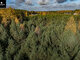 Parduodamas sklypas Trakų rajono sav., Paraisčiuose (8 nuotrauka)