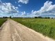 Parduodamas sklypas Šiaulių rajono sav., Raizgiuose (7 nuotrauka)