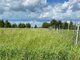 Parduodamas sklypas Šiaulių rajono sav., Raizgiuose (8 nuotrauka)