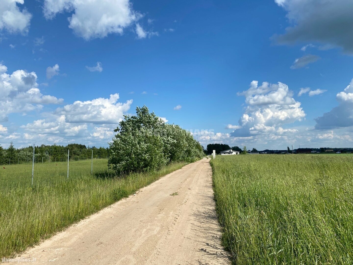 Parduodamas sklypas Šiaulių rajono sav., Raizgiuose
