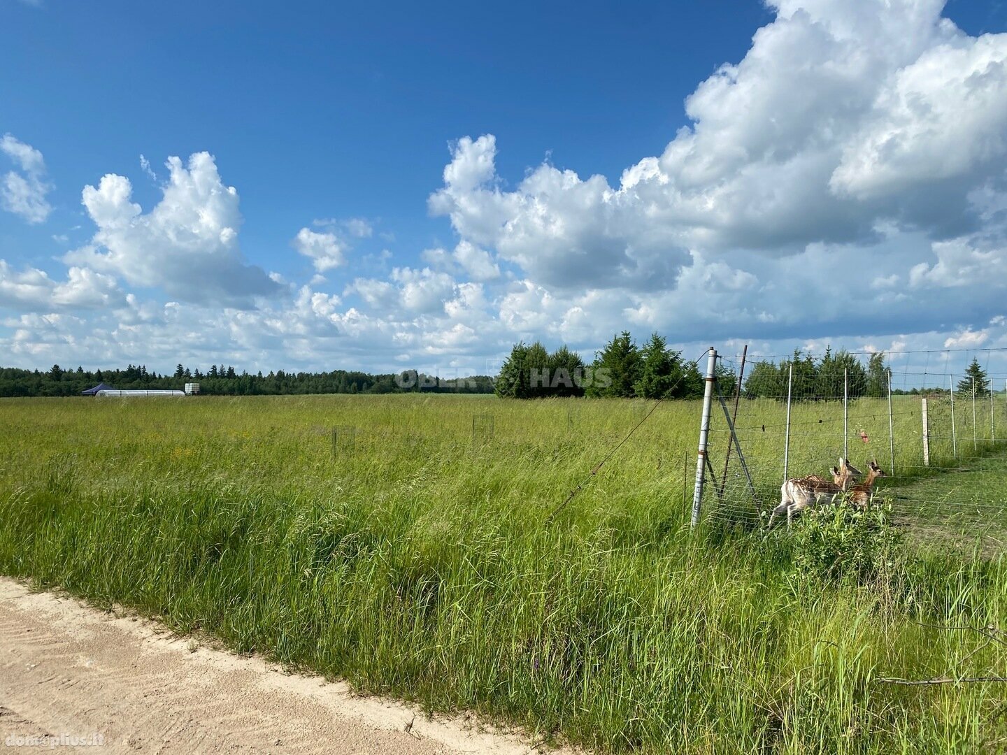Parduodamas sklypas Šiaulių rajono sav., Raizgiuose