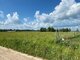 Parduodamas sklypas Šiaulių rajono sav., Raizgiuose (10 nuotrauka)